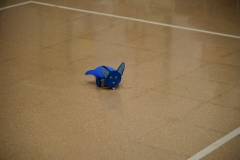 Valencia2019_245