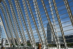 Valencia2019_389